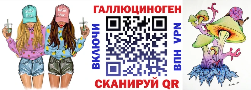 Галлюциногенные грибы Psilocybe  Меленки 
